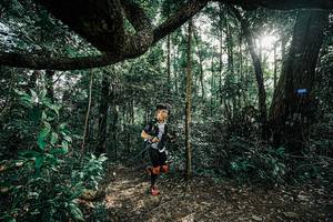 BIB: 
                            <button type="button" onclick="openModal(25390253)" class="btn btn-primary btn-sm float-right btn-popup" data-toggle="modal" data-target=".modal-high-quality">
                        <i class="fas fa-shopping-cart"></i> Add to Cart
                    </button>
                                            <button type="button" onclick="isThisMe(25390253, true)" class="btn btn-success btn-sm float-right btn-popup btn-isme hidden" data-toggle="tooltip" data-placement="bottom" title="นี่คือรูปของคุณใช่ไหม คลิกที่นี่เพื่อเอาเข้าอัลบั้ม">
                        <i class="fas fa-plus"></i> Add to album
                    </button>
                    <button type="button" onclick="isThisMe(25390253, false)" class="btn btn-warning btn-sm float-right btn-popup btn-isnotme hidden">
                        <i class="fas fa-ban"></i> Remove from album
                    </button>